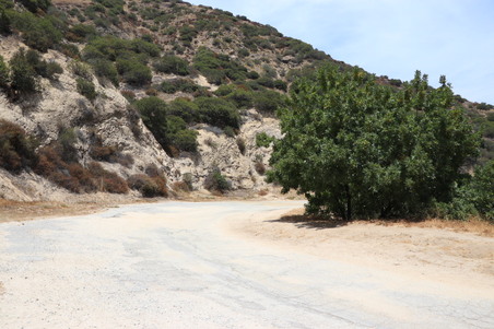 Enlarge photo 35