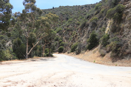 Enlarge photo 38