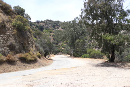 Enlarge photo 39