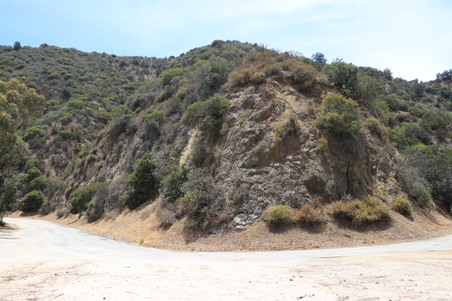 Enlarge photo 40