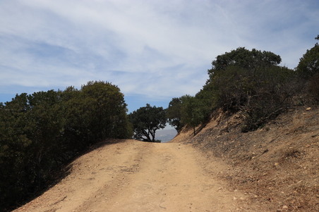 Enlarge photo 41