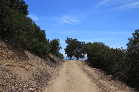 Enlarge photo 42