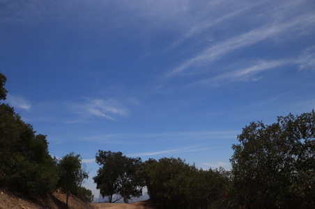 Enlarge photo 43