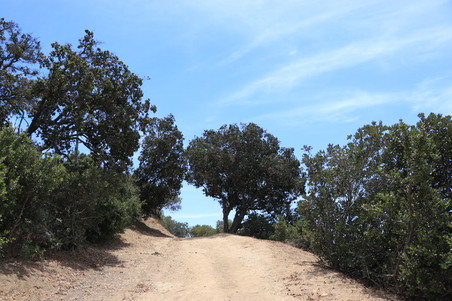 Enlarge photo 45