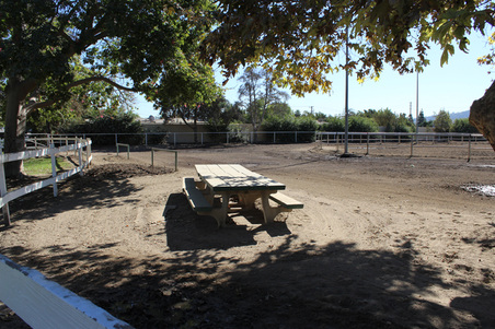 Enlarge photo 12