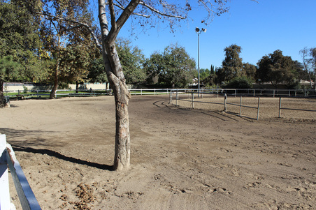 Enlarge photo 13