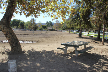 Enlarge photo 14