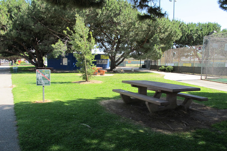 Enlarge photo 28