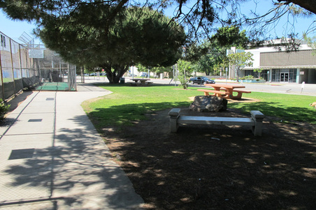 Enlarge photo 29