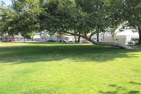 Enlarge photo 5