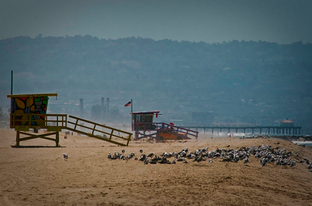Beaches