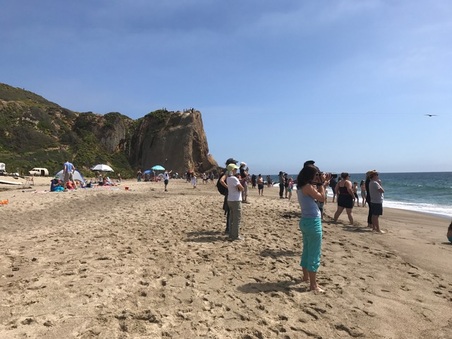 Enlarge photo 5