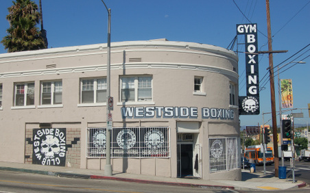 Boxing Gyms