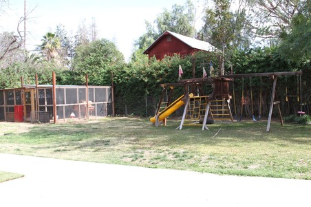 Enlarge photo 70