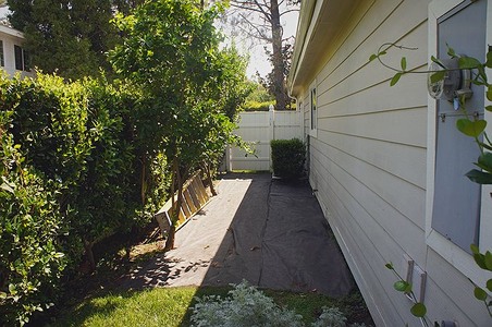 Enlarge photo 80