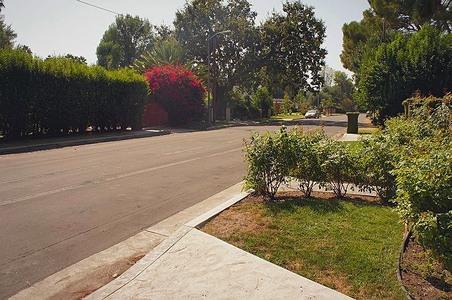 Enlarge photo 93