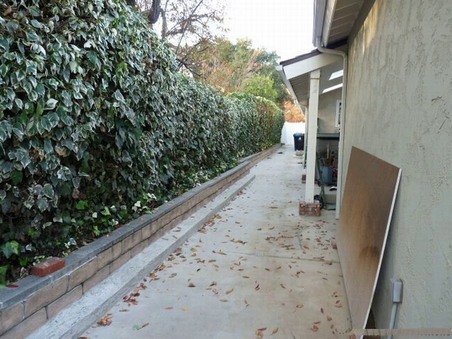 Enlarge photo 141