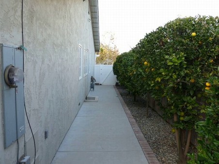 Enlarge photo 142