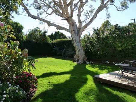Enlarge photo 49