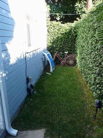 Enlarge photo 66