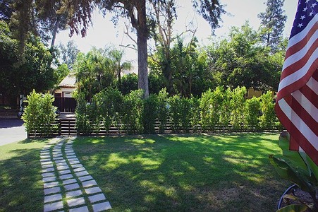 Enlarge photo 19