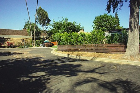 Enlarge photo 75