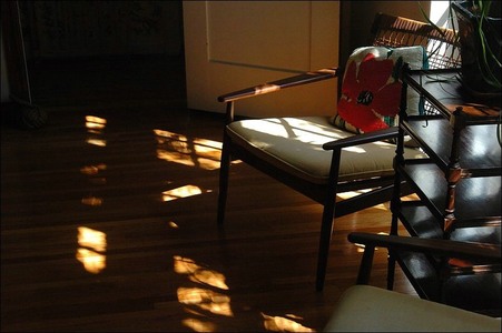 Enlarge photo 41