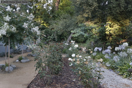 Enlarge photo 87