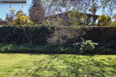 Enlarge photo 57