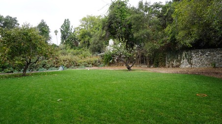 Enlarge photo 28