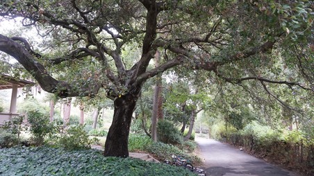 Enlarge photo 41