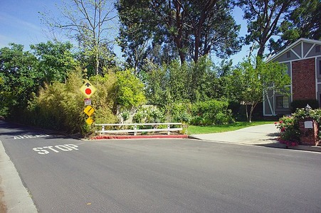 Enlarge photo 69