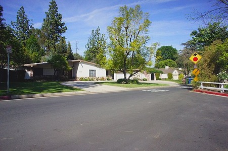 Enlarge photo 75