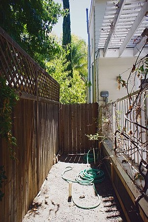 Enlarge photo 75