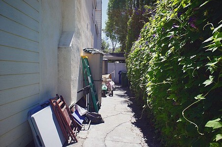 Enlarge photo 76