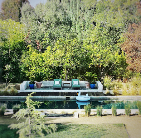 Enlarge photo 51