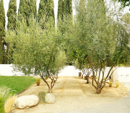 Enlarge photo 58