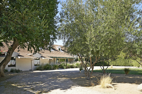 Enlarge photo 66
