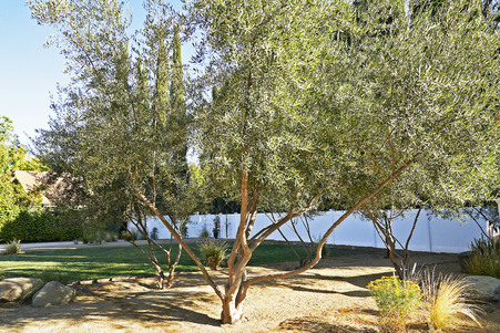 Enlarge photo 68