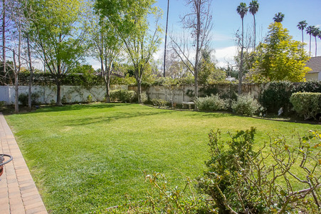 Enlarge photo 120