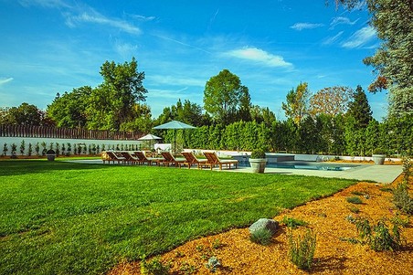 Enlarge photo 61