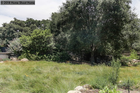 Enlarge photo 64