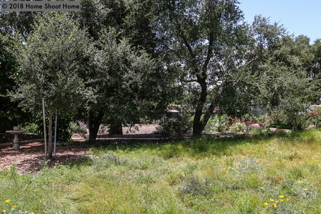 Enlarge photo 65