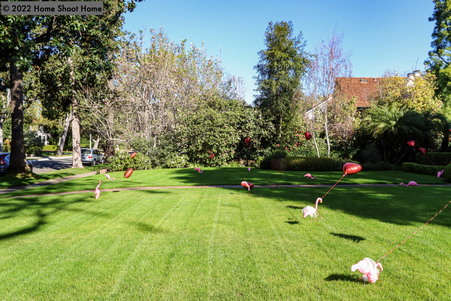Enlarge photo 93
