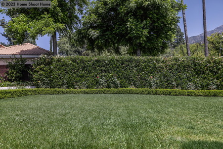 Enlarge photo 106