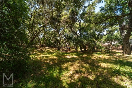 Enlarge photo 96