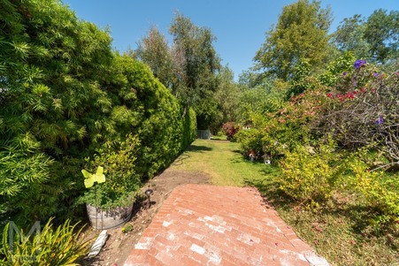 Enlarge photo 72