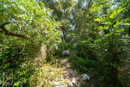 Enlarge photo 122