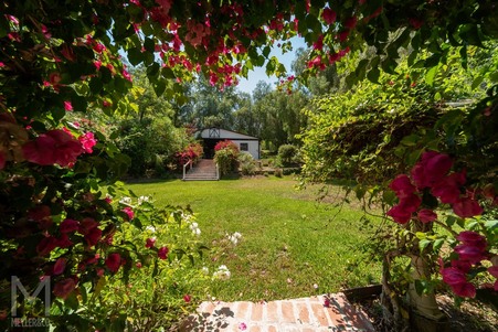 Enlarge photo 126