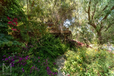 Enlarge photo 143